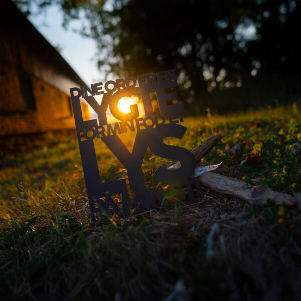 Dine ord er en lygte