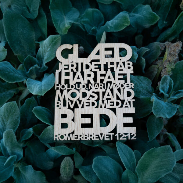 Glæd jer i det håb