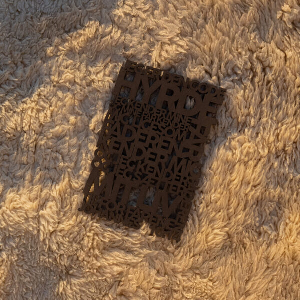 Jeg er den gode hyrde